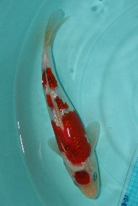 20111120 192-200.jpg